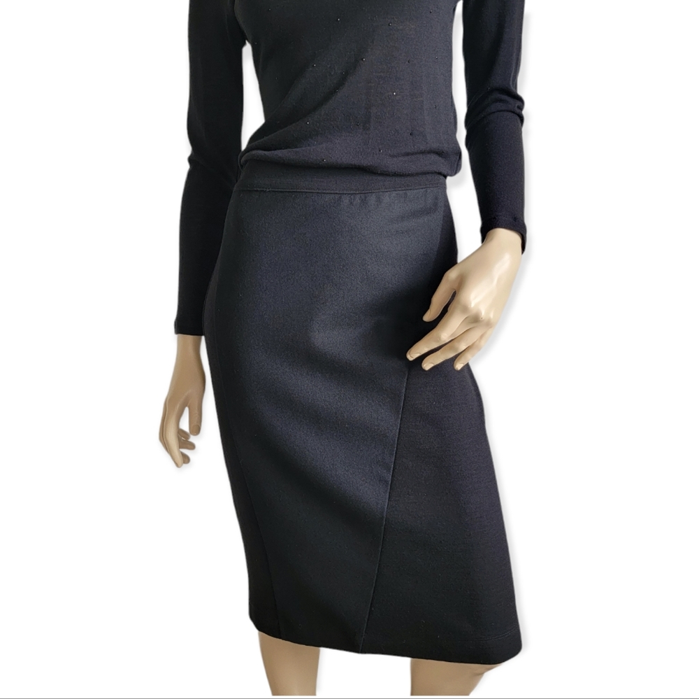 Morgane Le Fay Pencil Panel Skirt